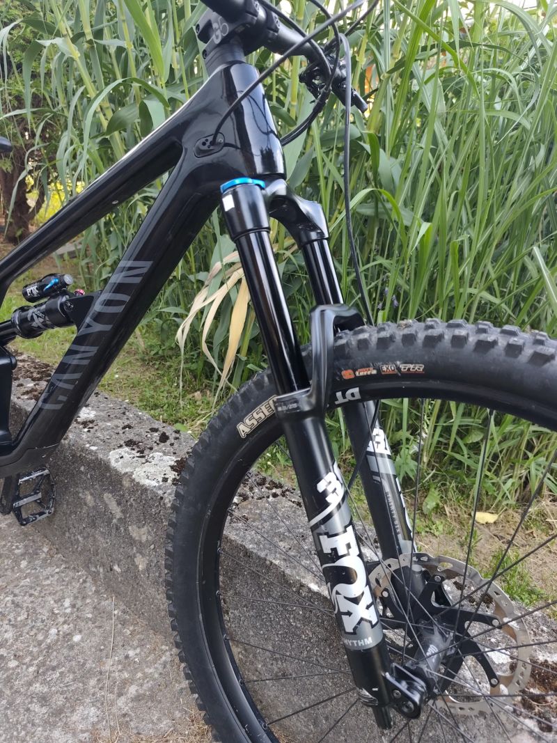 Canyon Spectral 29 CF7