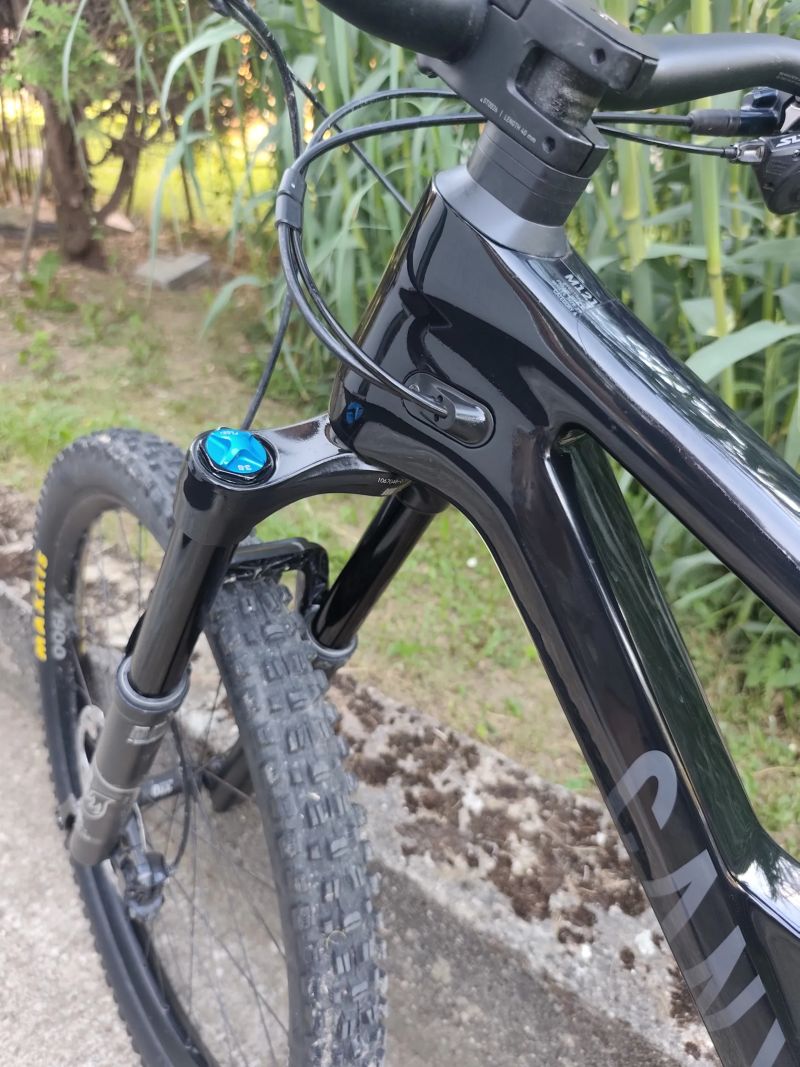 Canyon Spectral 29 CF7