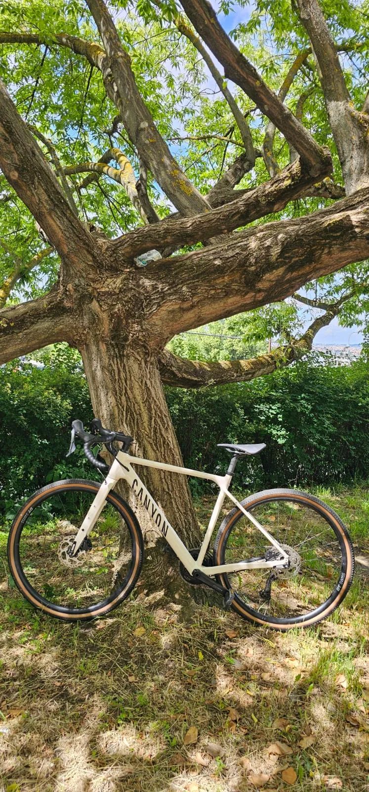 Canyon Grizl 7 M-2025