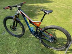 S WORKS Stumpujumper full carbon