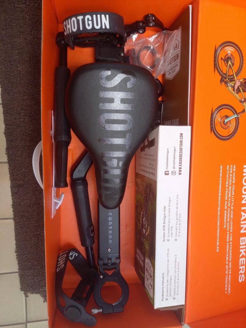 Kids ride Shogun