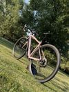 Specialized Diverge COMP E5 2021 - po servisu 