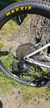 Orbea ALMA 29 H20