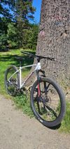 Orbea ALMA 29 H20