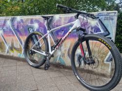 Orbea ALMA 29 H20