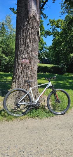 Orbea ALMA 29 H20