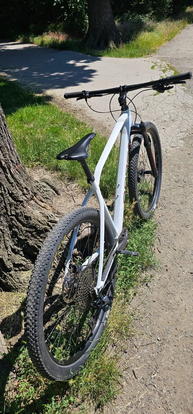 Orbea ALMA 29 H20