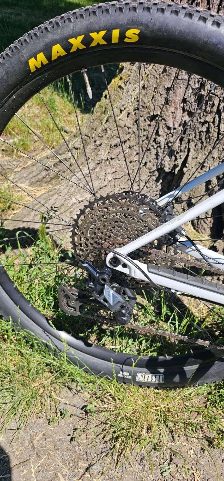 Orbea ALMA 29 H20