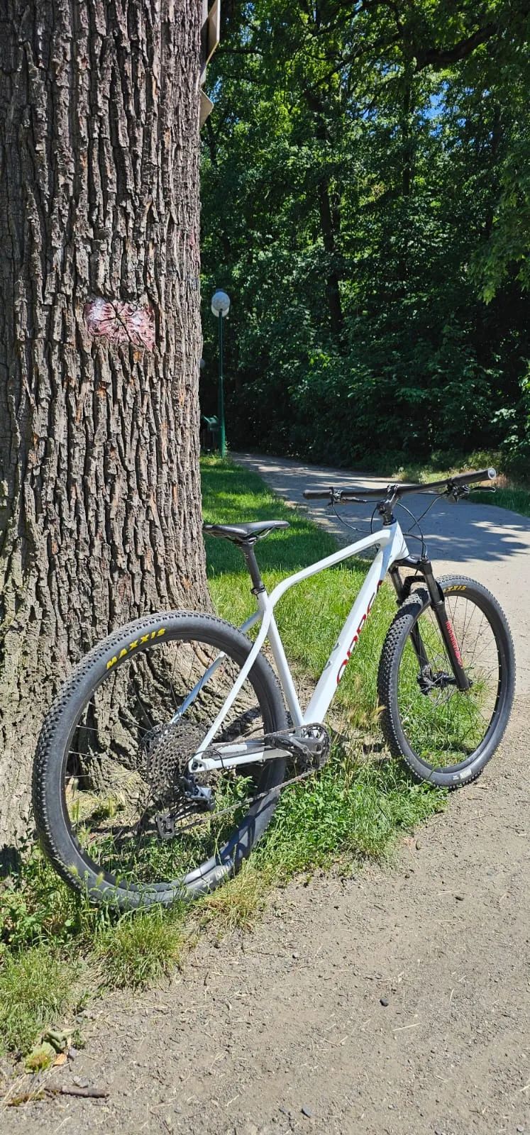 Orbea ALMA 29 H20