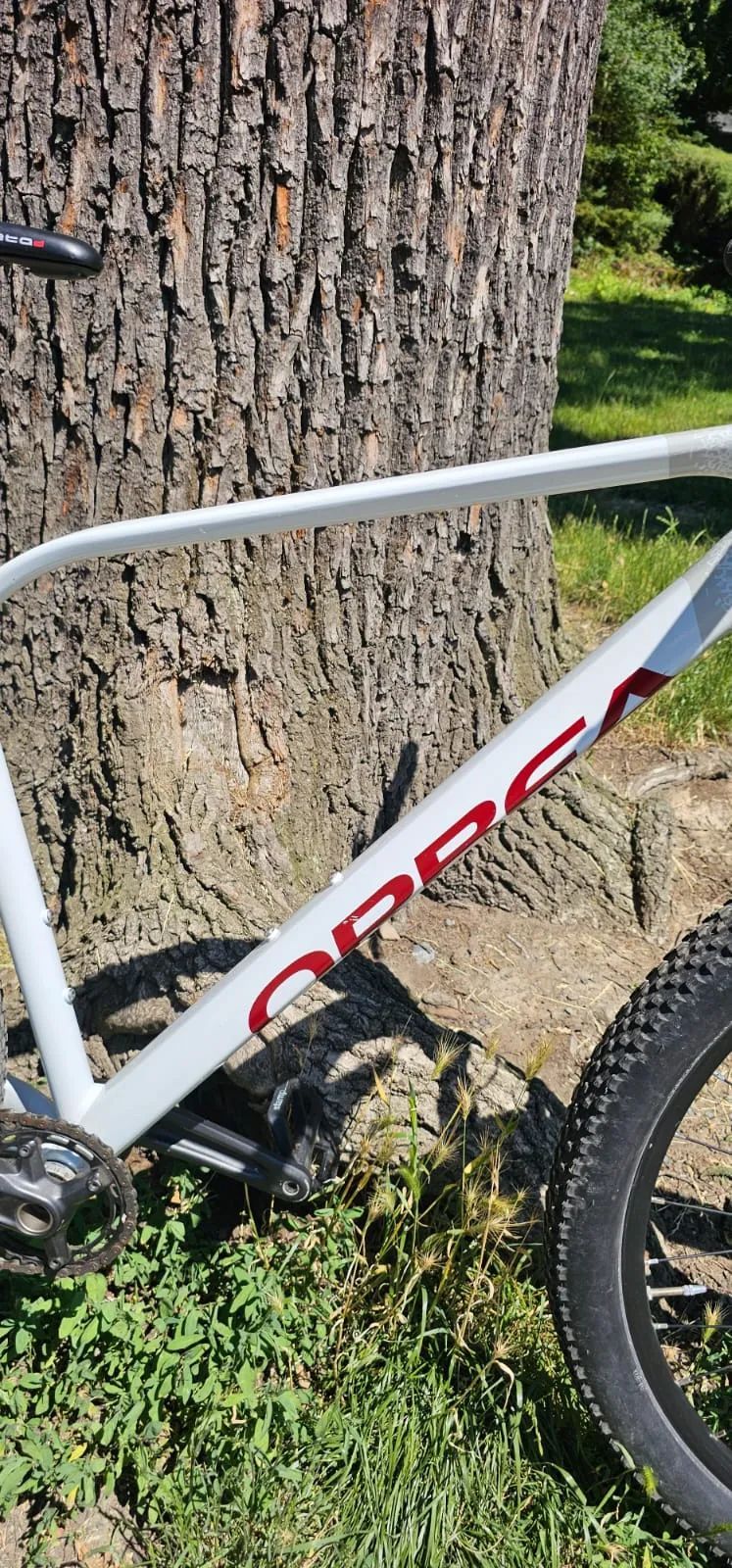 Orbea ALMA 29 H20