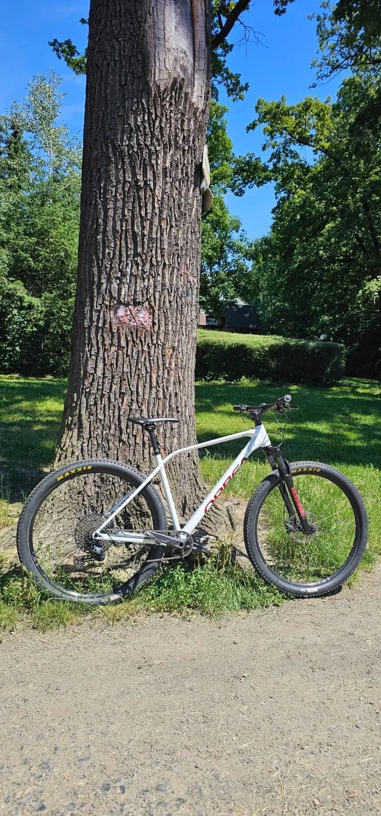 Orbea ALMA 29 H20