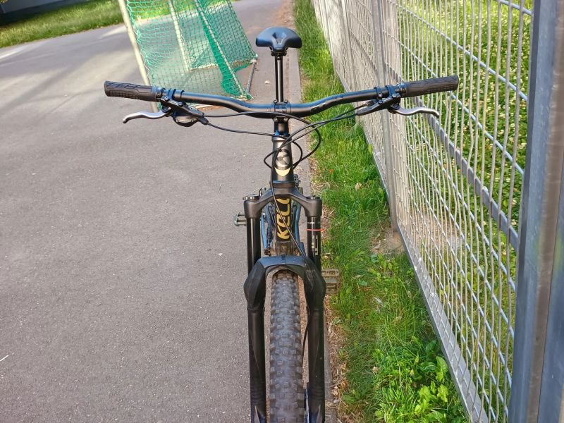 Kellys Thorx 10