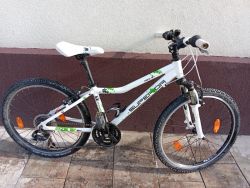 Superior Paint 24"