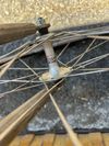 Fixed gear bike