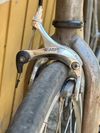 Fixed gear bike
