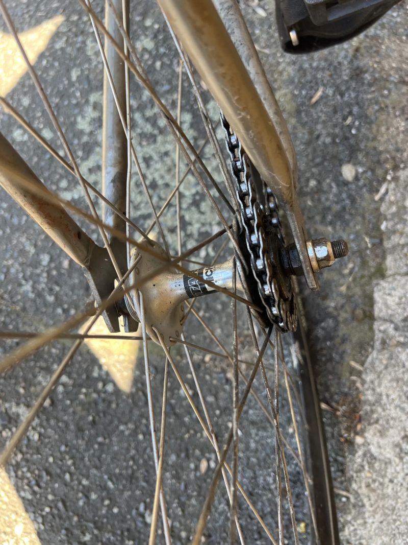 Fixed gear bike