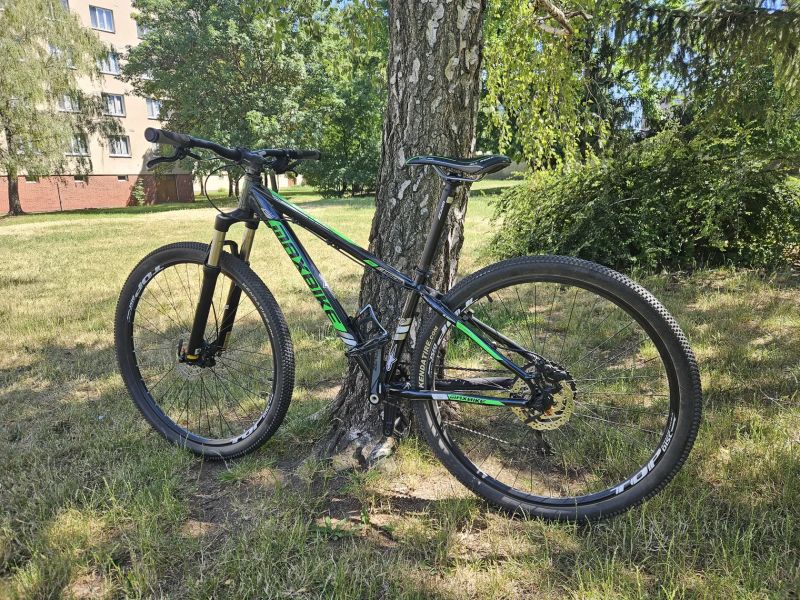 Hardtail Maxbike 29"