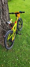 Core Nipper 20”