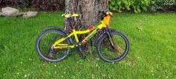 Core Nipper 20”