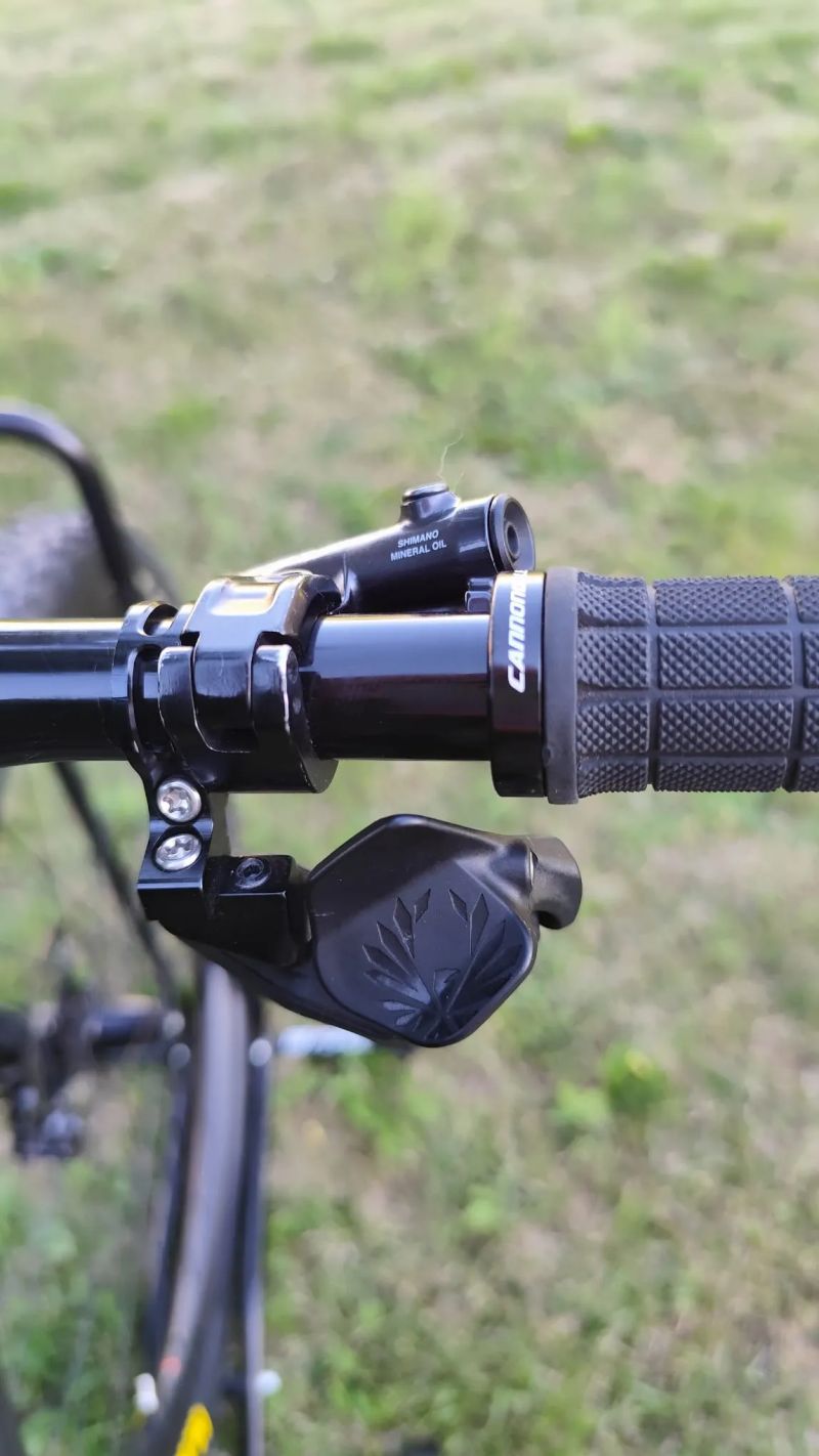 Cannondale Scalpel Carbon RAW