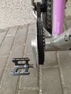 Early Rider - Belter