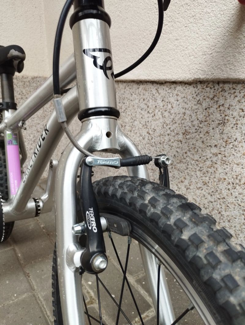 Early Rider - Belter