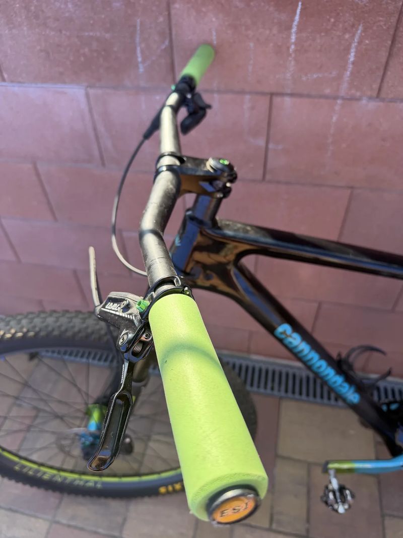 Cannondale F-Si Hi-Mod | 9,8 kg | Custom BikePart | Carbon kola Lilienthal | SRAM GX AXS | Ingrid | 