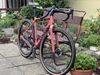 Canyon Grizl CF SL 8 1by