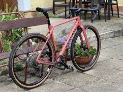 Canyon Grizl CF SL 8 1by