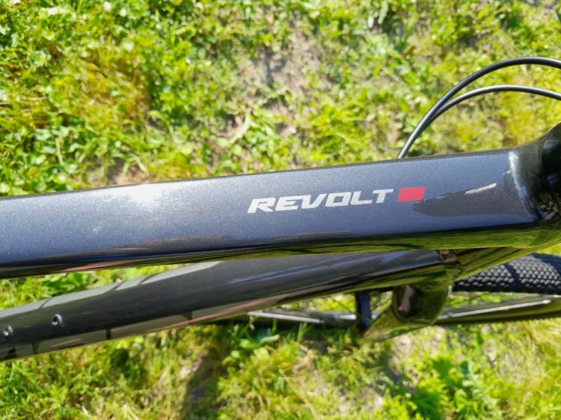 Giant Revolt 1