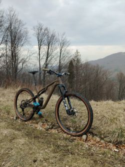 Canyon Neuron AL 6 2025