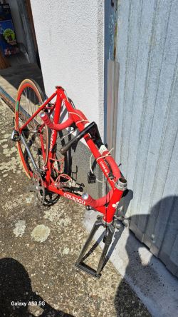 Colnago