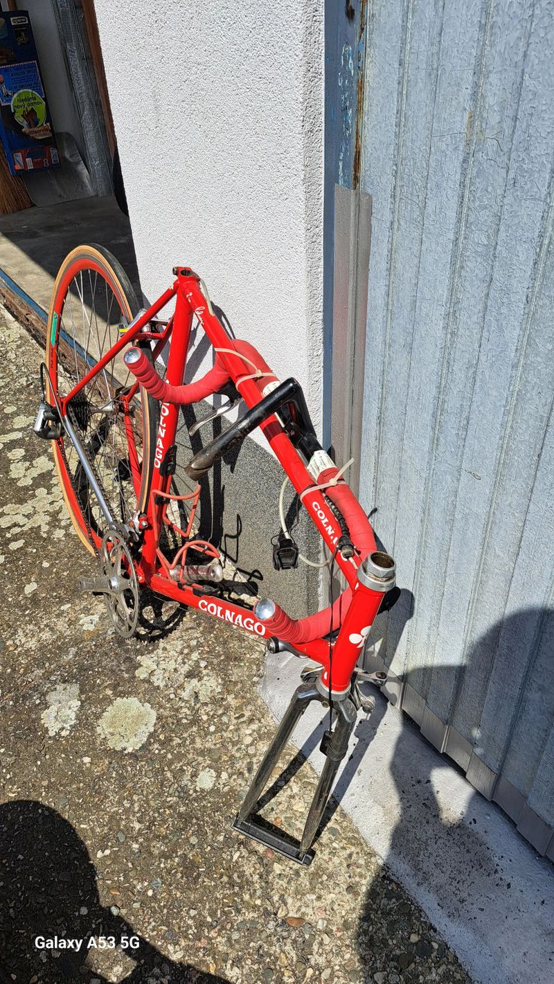 Colnago