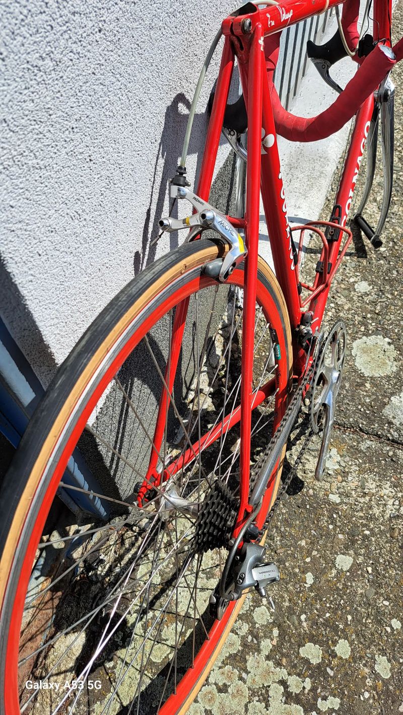 Colnago