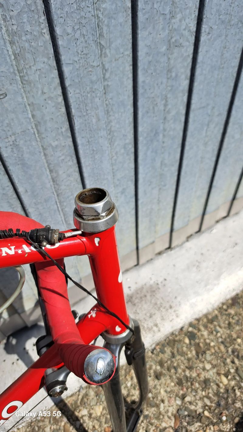 Colnago