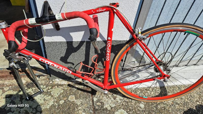 Colnago