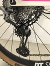 Canyon Lux trail CF9 Emily Batty edition