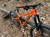 Pivot Cycles Firebird