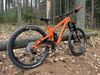 Pivot Cycles Firebird