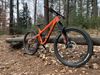 Pivot Cycles Firebird