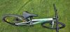 Amulet Youngster 26"