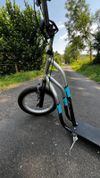 Intrea F-LINE 12"