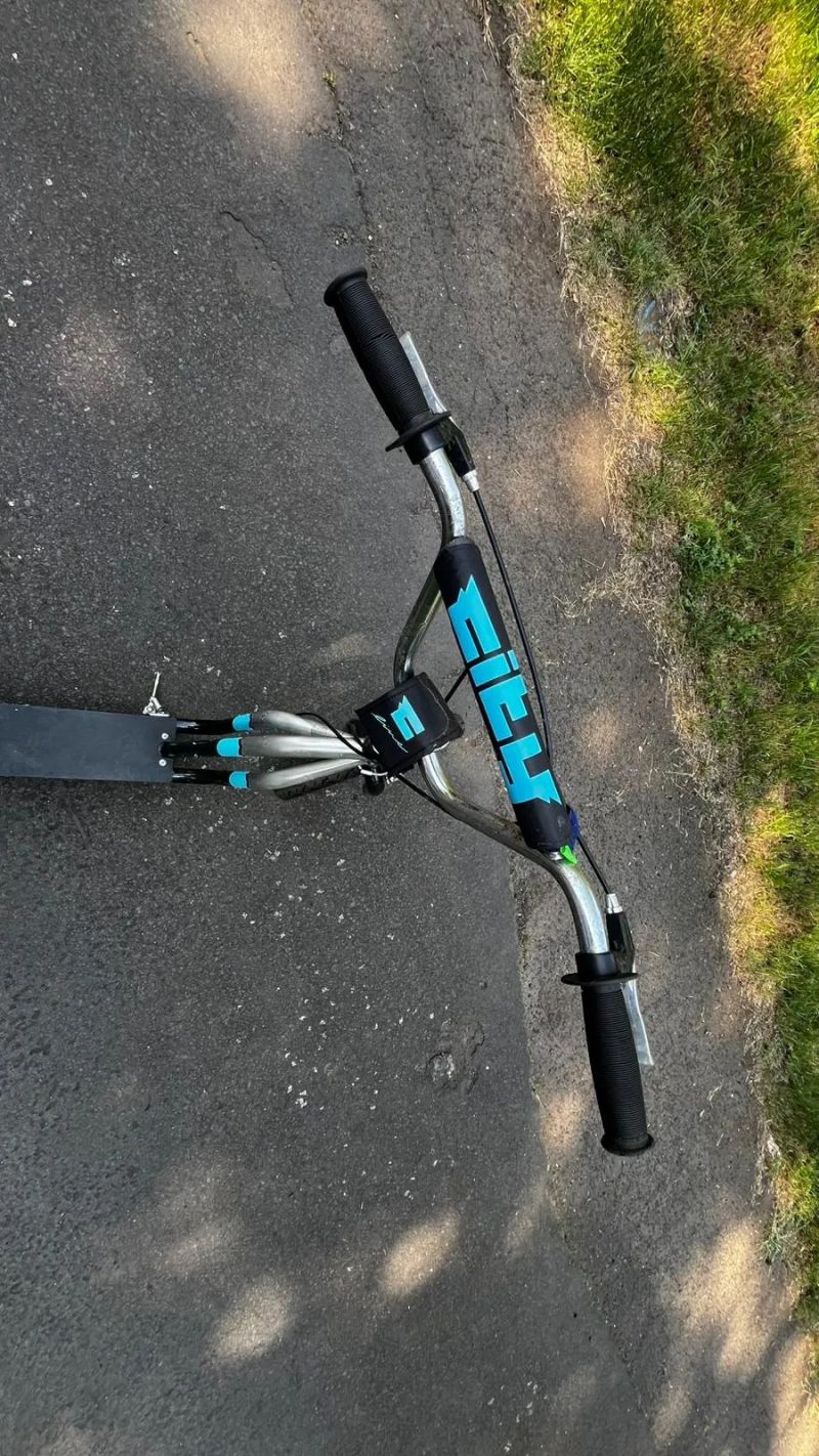 Intrea F-LINE 12"