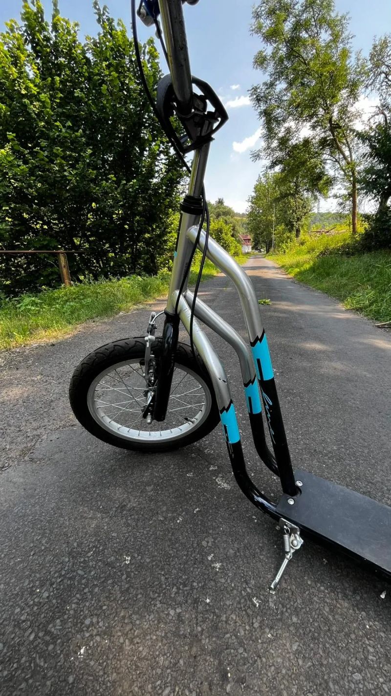 Intrea F-LINE 12"