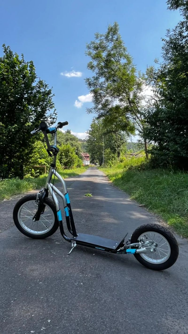 Intrea F-LINE 12"