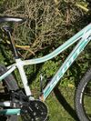 Scott Contessa720