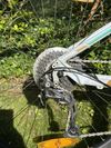 Scott Contessa720
