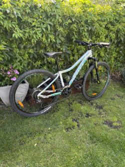 Scott Contessa720