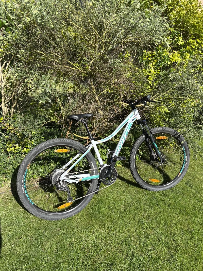 Scott Contessa720