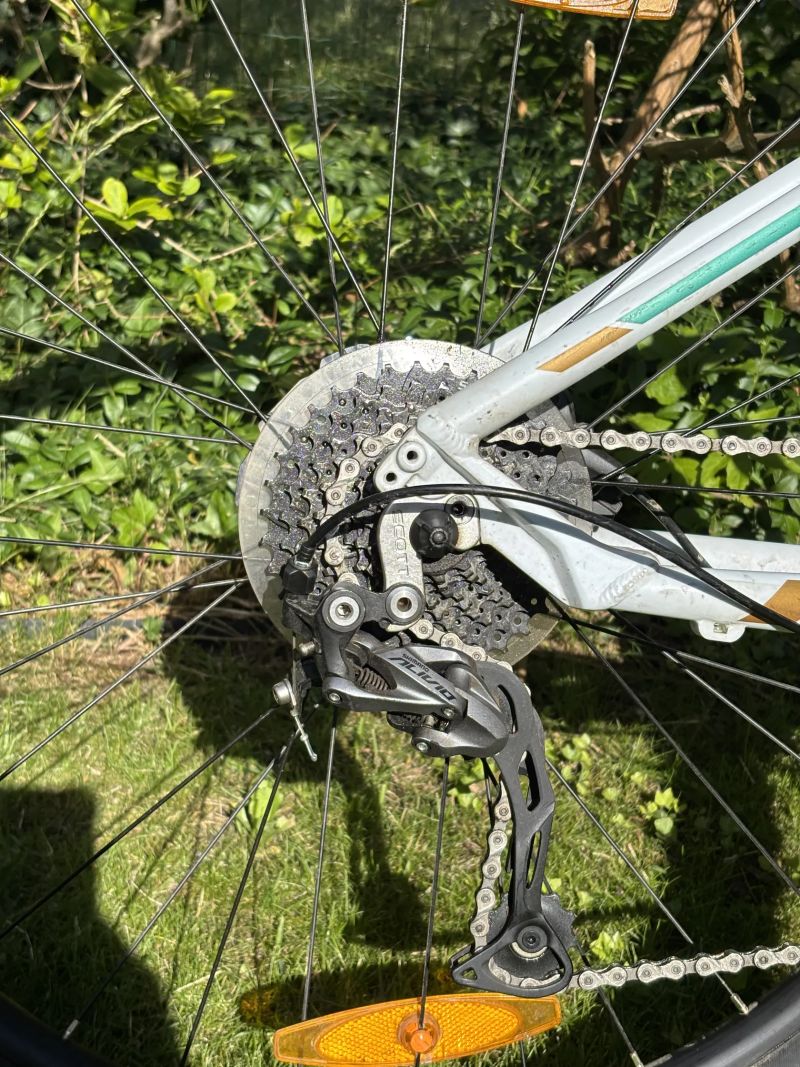 Scott Contessa720
